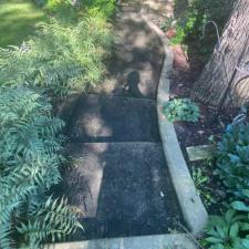 backyard-step-cleaning 0
